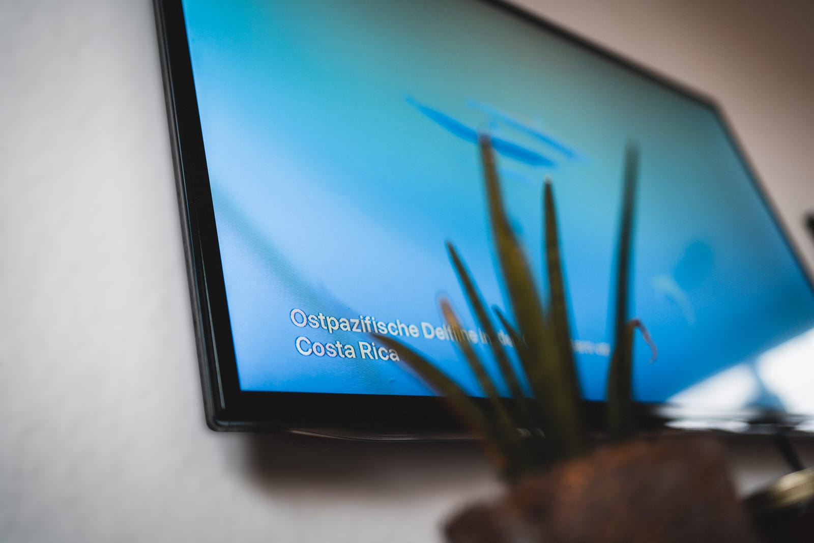 Apple TV Bildschirmschoner aktivieren