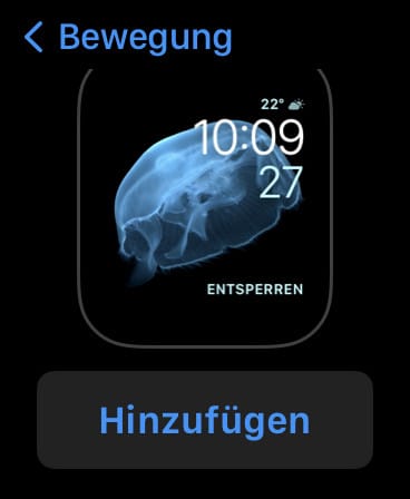 Einfach Apple Watch Zifferblätter erstellen oder ändern