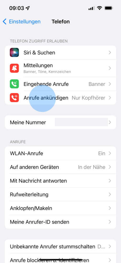 Apple Kopfhörer als Telefon nutzen