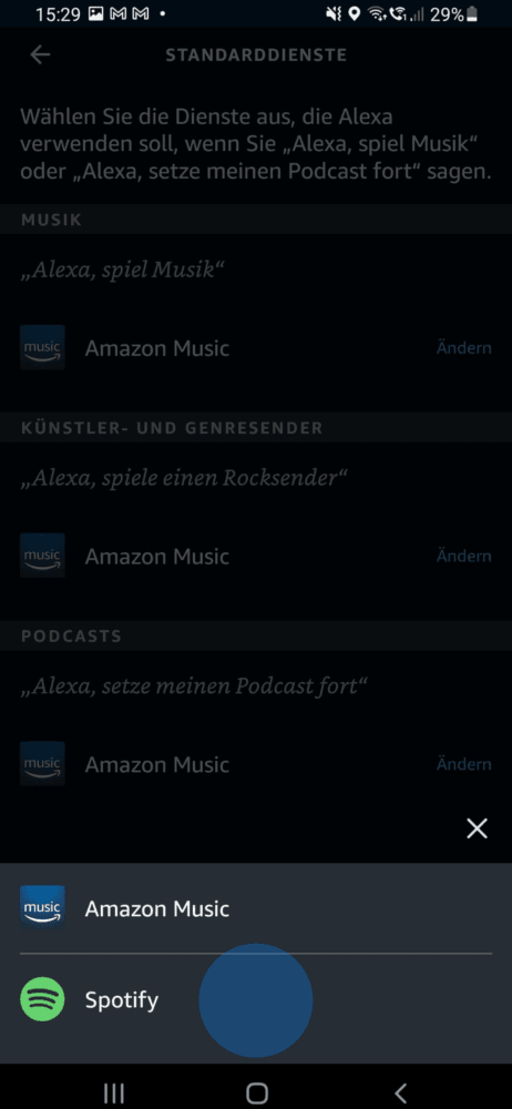 Echo Standarddienst ändern