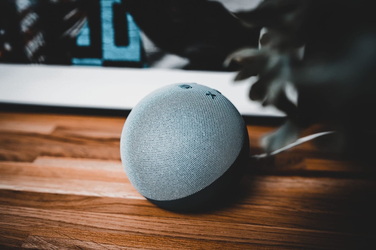 Alexa leuchtet gruen