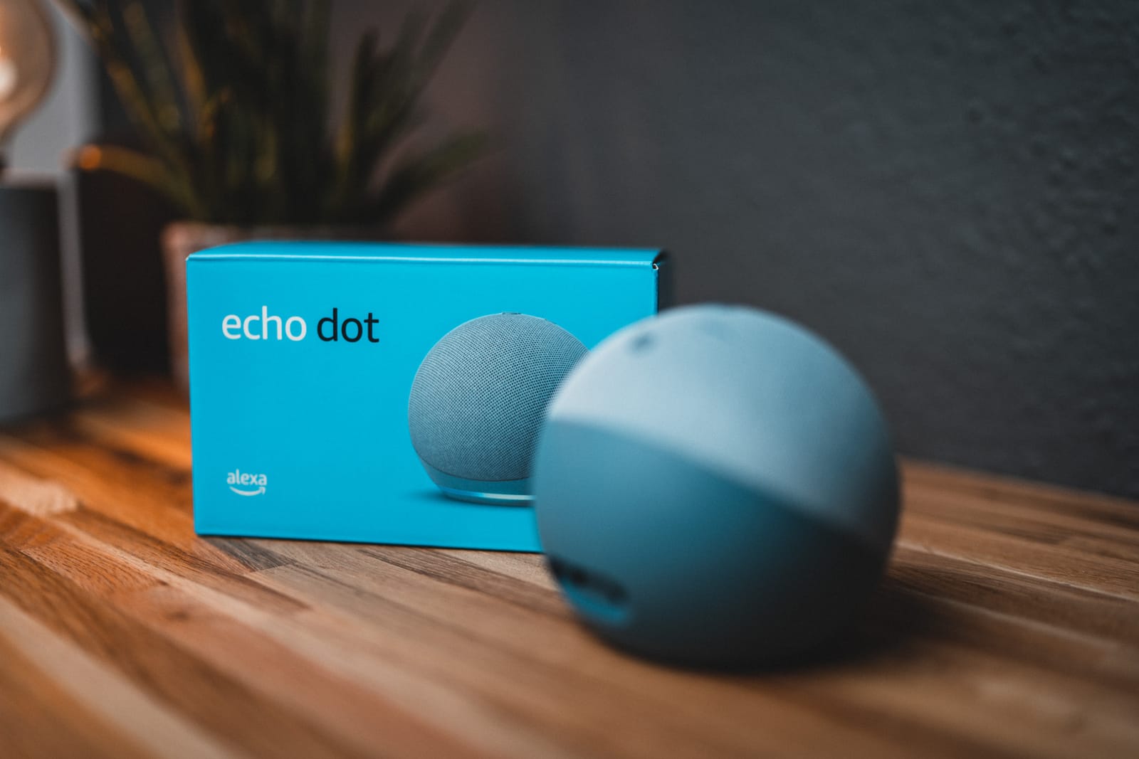 Alexa Gerät reagiert nicht