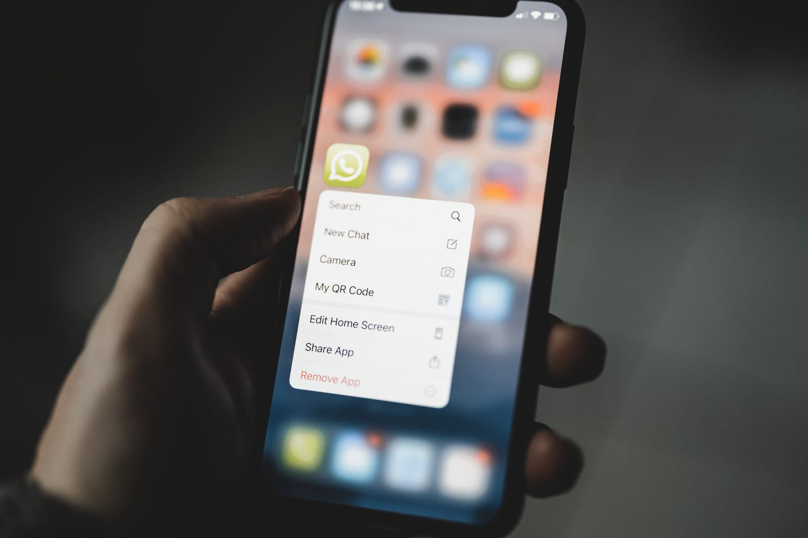 Dual SIM WhatsApp