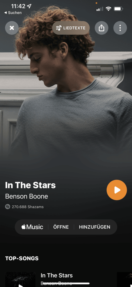 Song wird nach Musikerkennung angezeigt