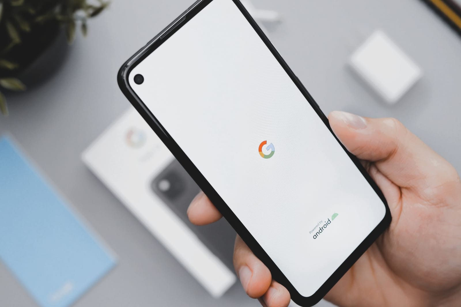 Google bleibt ständig stehen
