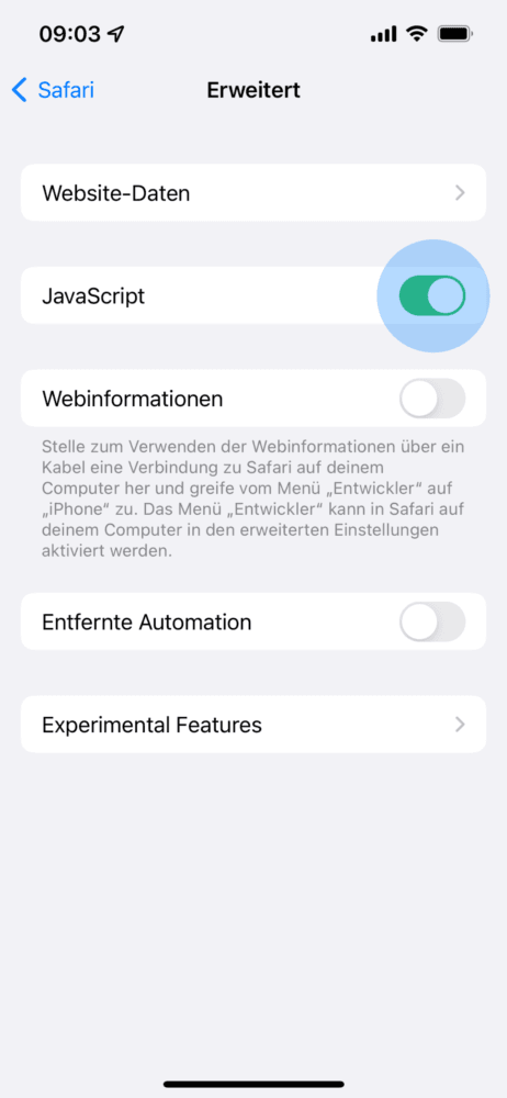 JavaScript ausstellen
