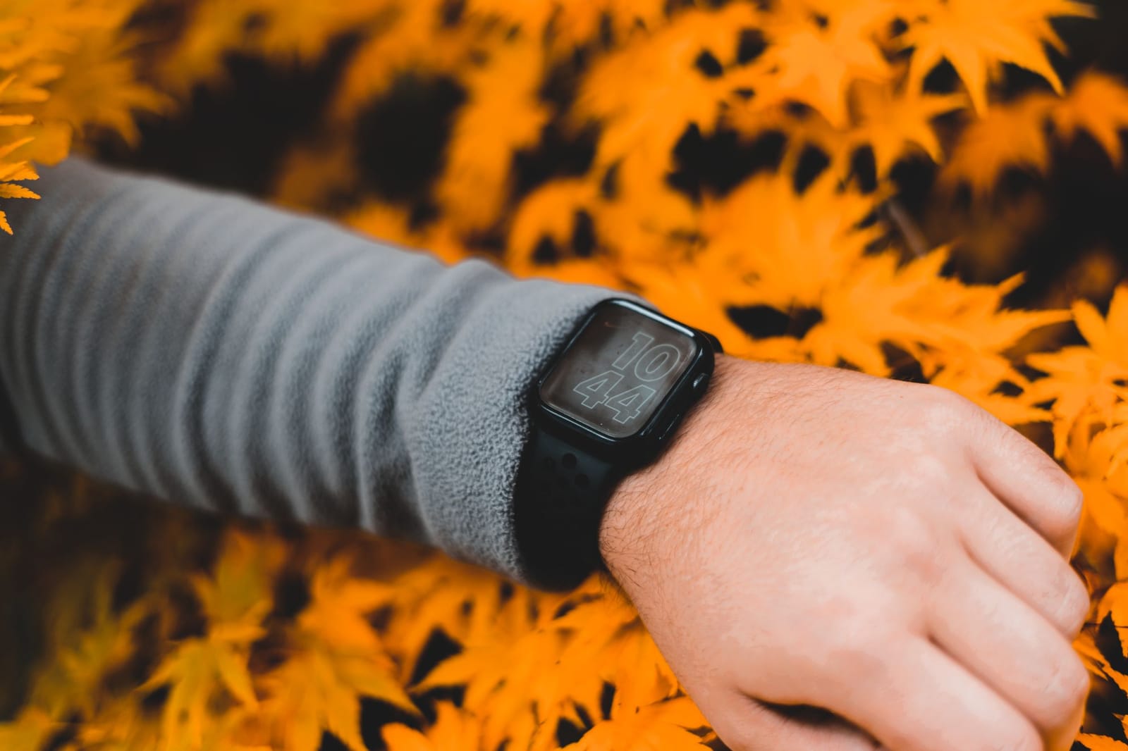 Apple Watch Notruf